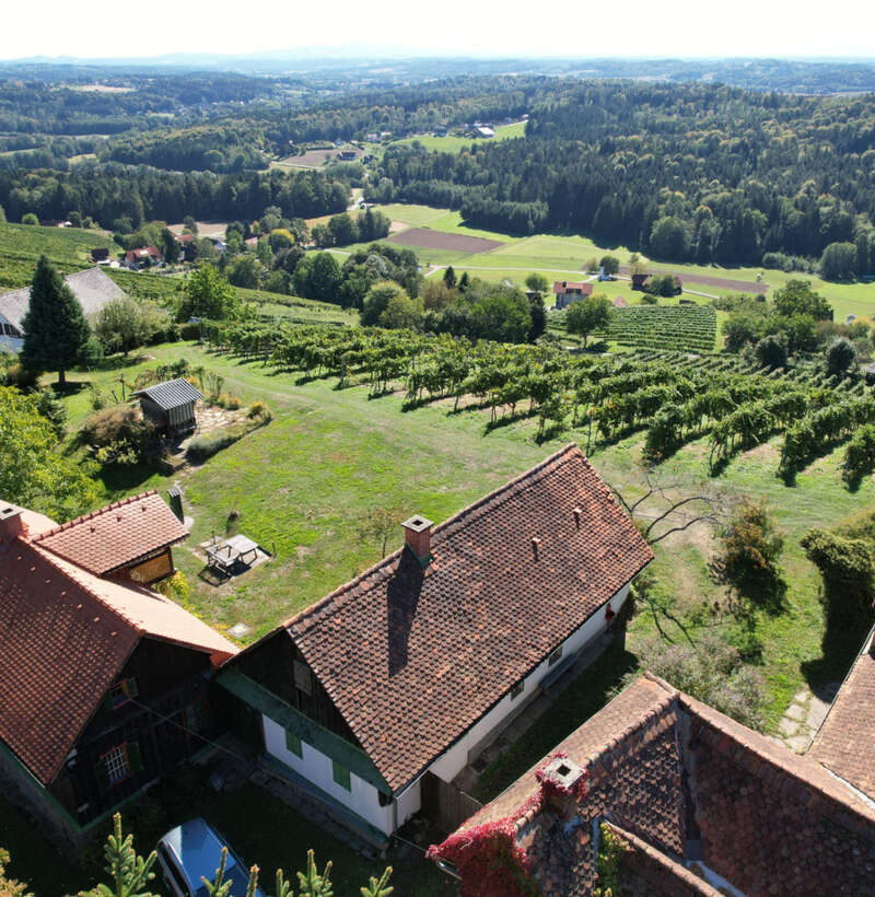 Ein eigenes Reich hoch über den Weinbergen in Plateaulage -  alte weststeirische Baukultur trifft neue Ausbaumöglichkeiten